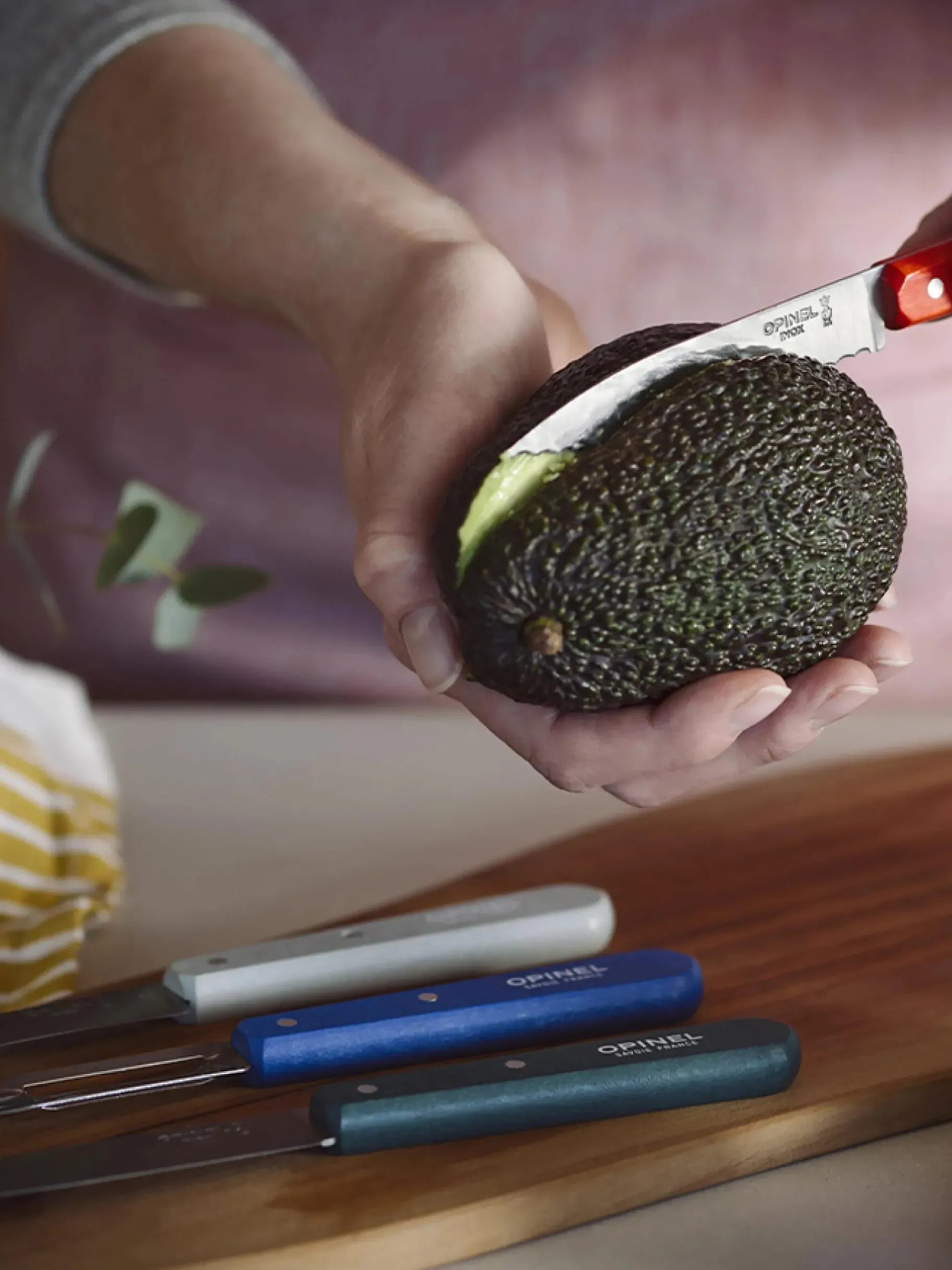 BENSIMON Accessoires De Table<Coffret les essentiels du cuisinier primo - oyoy MULTICOLORE