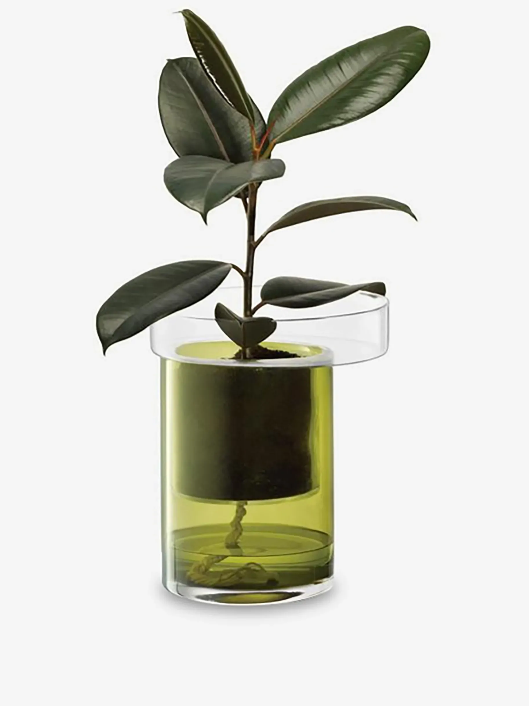 BENSIMON Vases|Objets Décoratifs<Pot a plante avec reserve d'eau s verre ... VERT