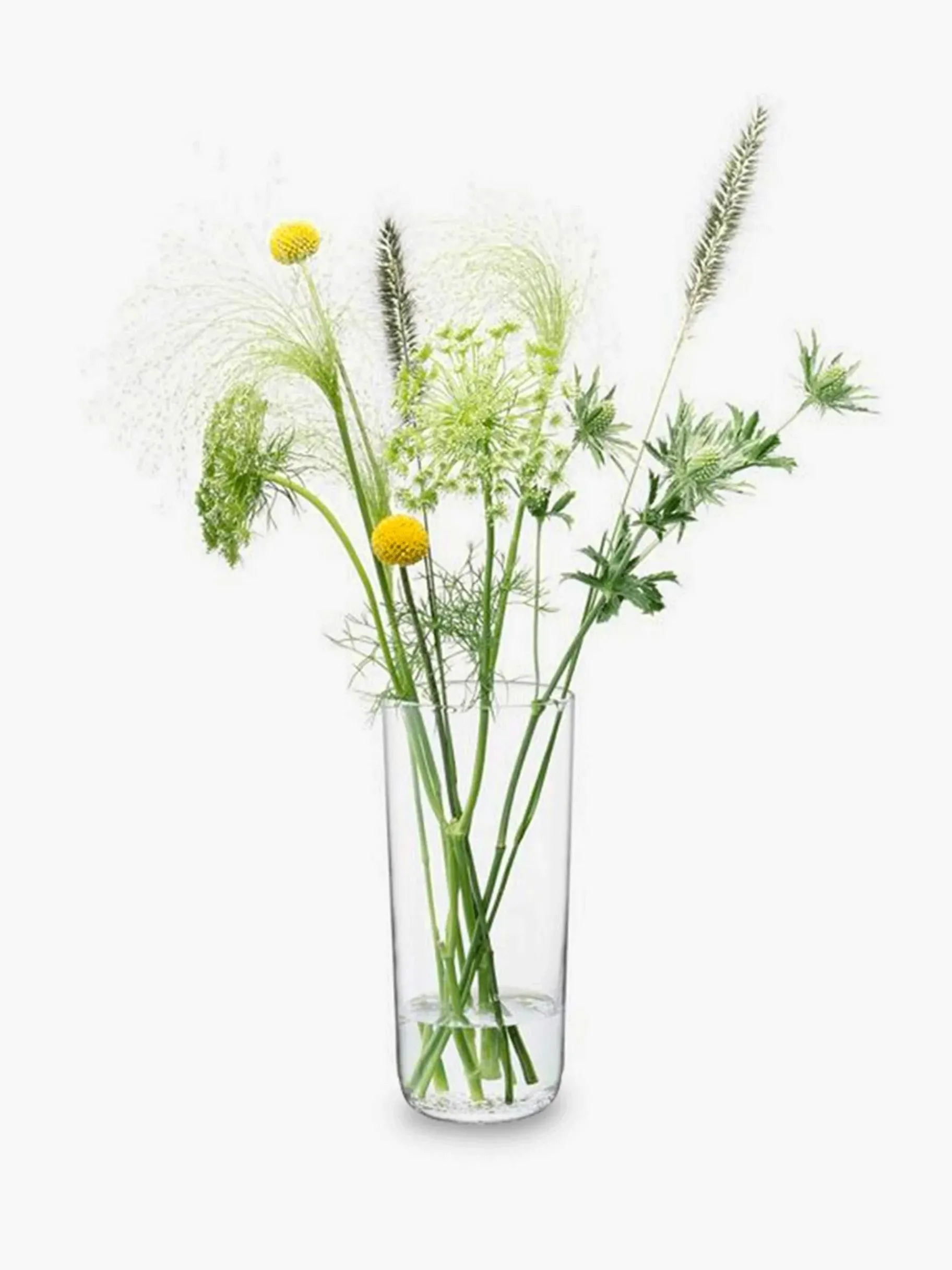 BENSIMON Vases<Vase minimalist verre - lsa TRANSPARENT